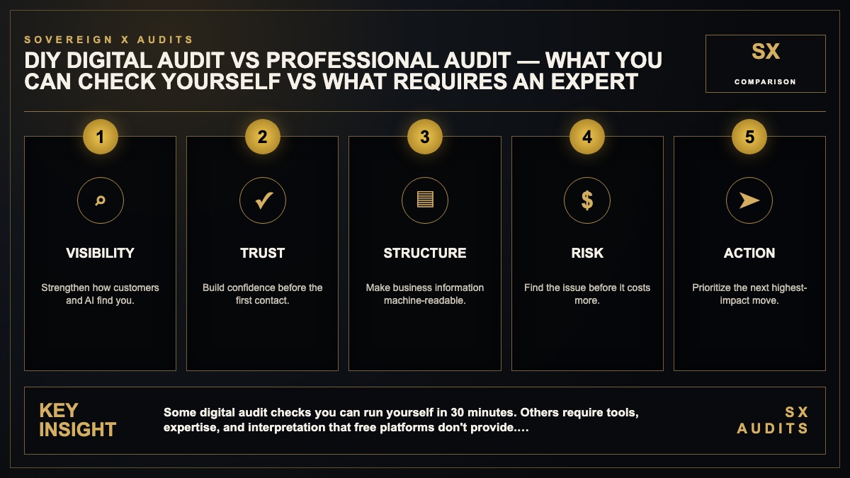 DIY Digital Audit vs Professional Audit Infographic