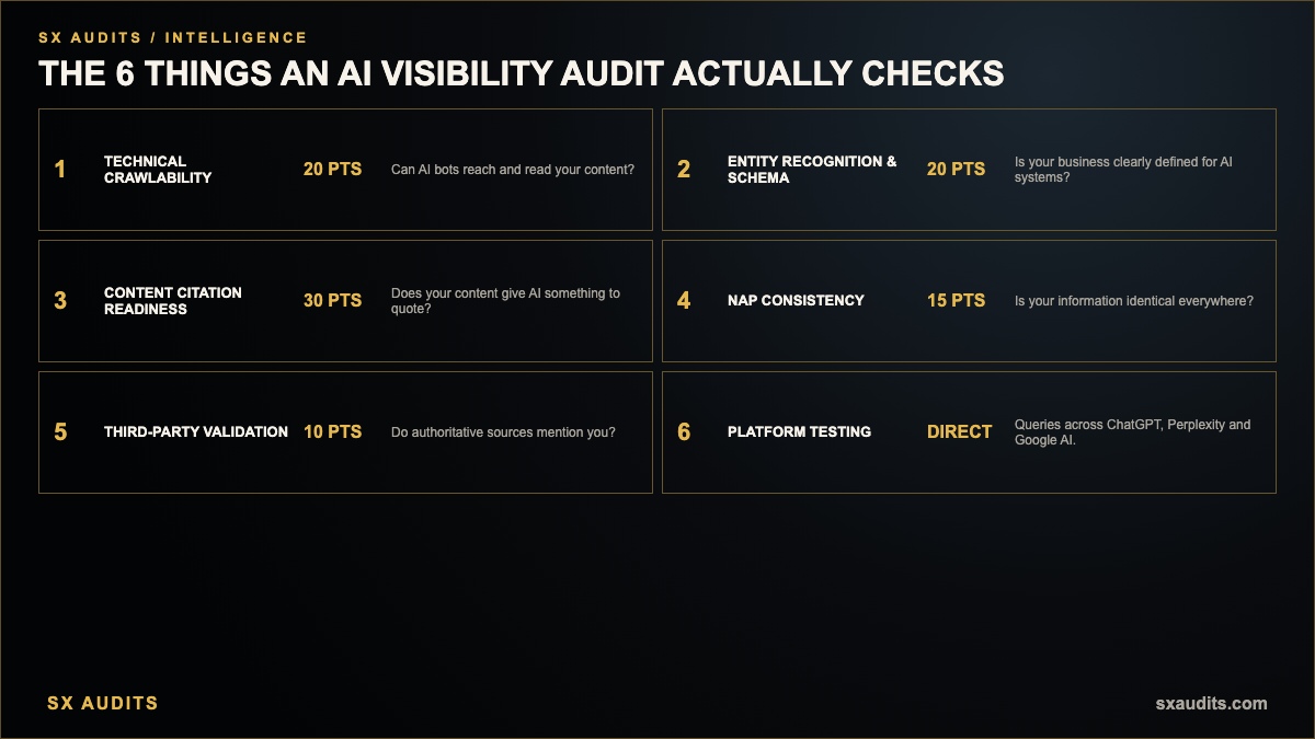 What Does an AI Visibility Audit Actually Check Infographic